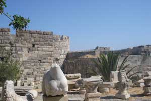 the knights castle