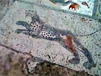 roman villa mosaic
